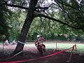 DSC08806